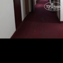 фото из отзыва ID 1795774