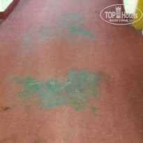 фото из отзыва ID 1795774