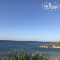 фото из отзыва ID 1795808