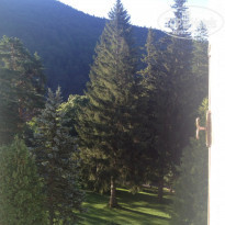 фото из отзыва ID 1795869