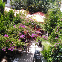 фото из отзыва ID 1795907