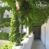 фото из отзыва ID 1796001