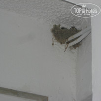 фото из отзыва ID 1796001