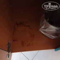 фото из отзыва ID 1796147