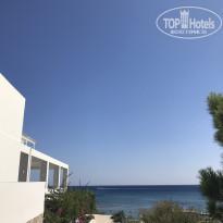 фото из отзыва ID 1795808