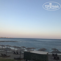 фото из отзыва ID 1795808