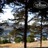 фото из отзыва ID 1795206