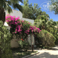 фото из отзыва ID 1795696