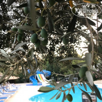 фото из отзыва ID 1795696