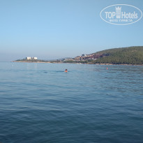 фото из отзыва ID 1796571