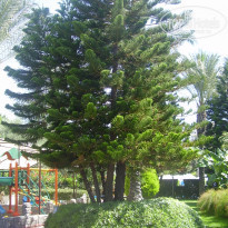 фото из отзыва ID 1796600