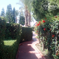 фото из отзыва ID 1796600