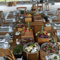 фото из отзыва ID 1796602