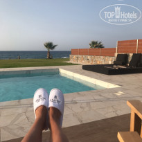 фото из отзыва ID 1796602