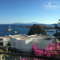 фото из отзыва ID 1793827