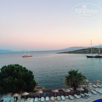 фото из отзыва ID 1793827