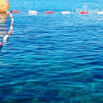 фото из отзыва ID 1793827