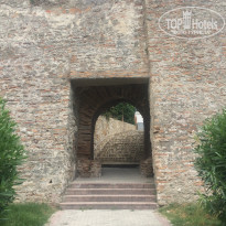 фото из отзыва ID 1796636