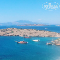 фото из отзыва ID 1793827