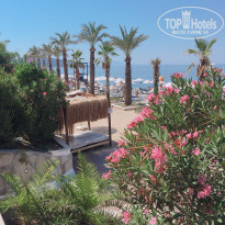 фото из отзыва ID 1793827