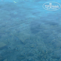 фото из отзыва ID 1793827