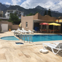 фото из отзыва ID 1796740