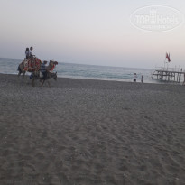 фото из отзыва ID 1796782