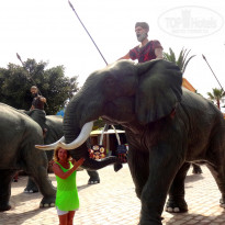 фото из отзыва ID 1796785