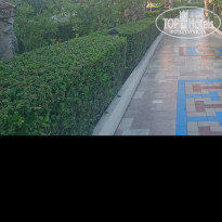 фото из отзыва ID 1796825