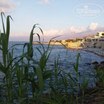 фото из отзыва ID 1797049