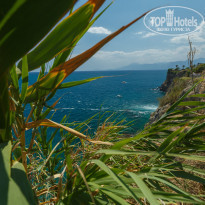 фото из отзыва ID 1797075