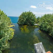 фото из отзыва ID 1797075