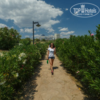 фото из отзыва ID 1797075