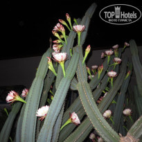 фото из отзыва ID 1797266