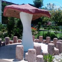 фото из отзыва ID 1797342