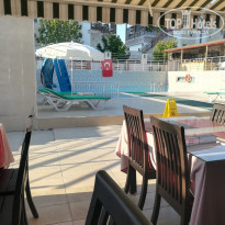 фото из отзыва ID 1797376