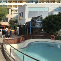 фото из отзыва ID 1792106