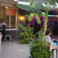 фото из отзыва ID 1797477