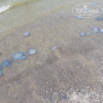 фото из отзыва ID 1797501