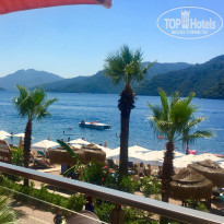 фото из отзыва ID 1797516