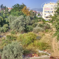 фото из отзыва ID 1797563