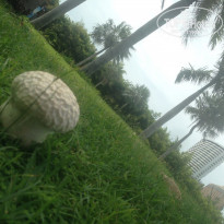 фото из отзыва ID 1797590