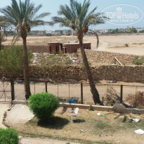 фото из отзыва ID 1797642