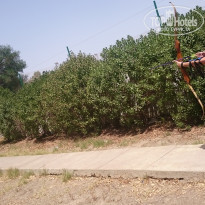 фото из отзыва ID 1797647