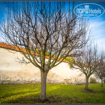 фото из отзыва ID 1797669
