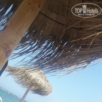 фото из отзыва ID 1797671