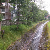 фото из отзыва ID 1797723