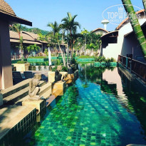 фото из отзыва ID 1797811