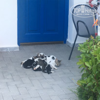 фото из отзыва ID 1797830