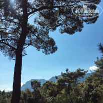 фото из отзыва ID 1797889